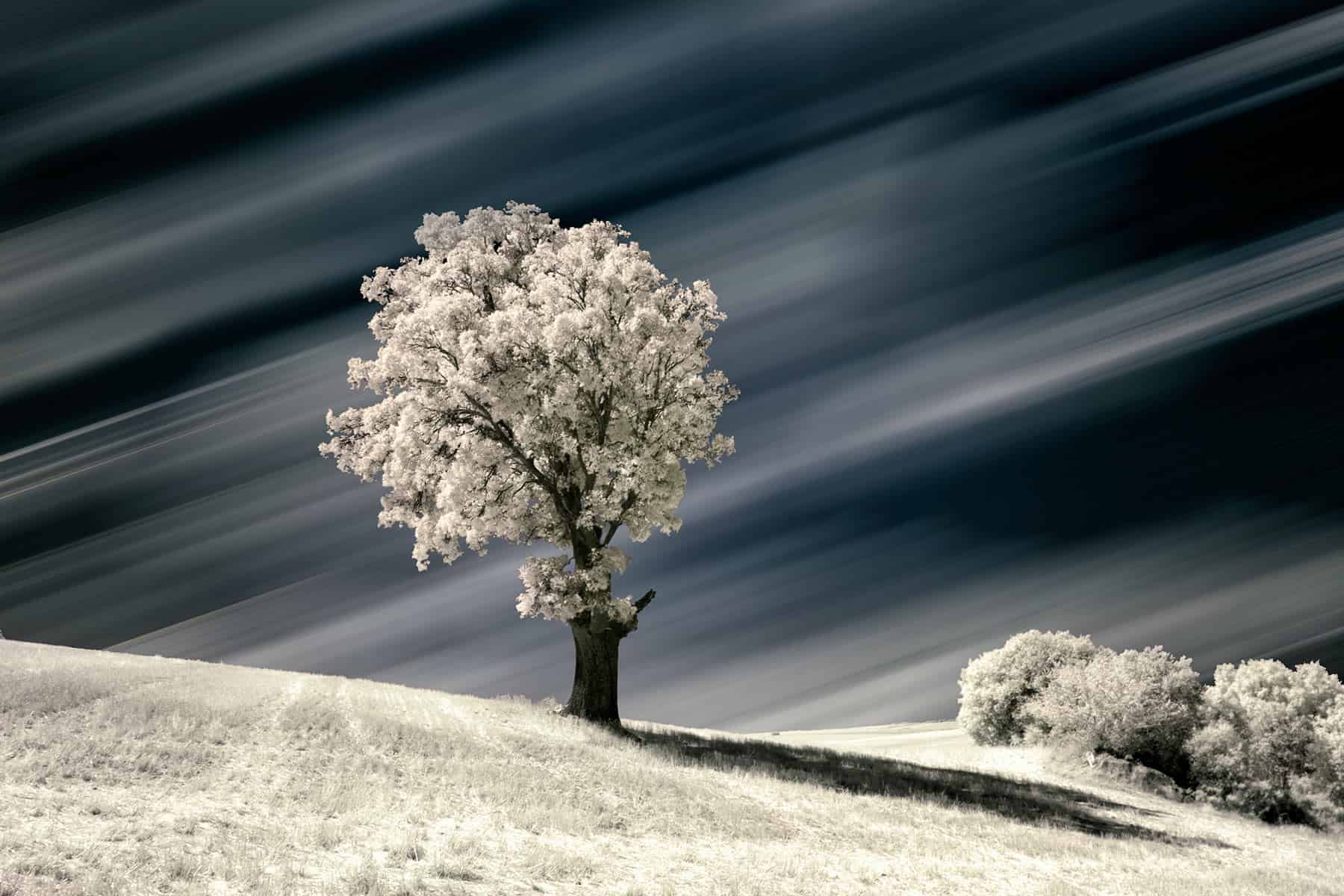 Learn How To Take Infrared Photography | Student Resources